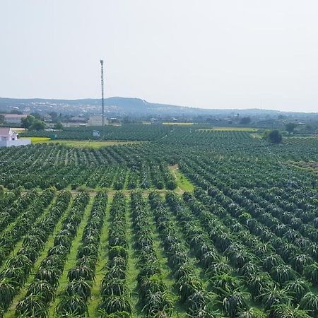Homestay Thao Nguyen Xanh Lang Van Ke Εξωτερικό φωτογραφία