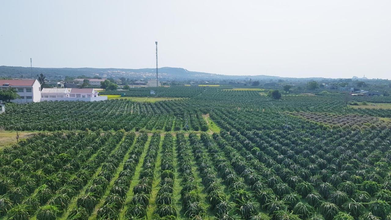 Homestay Thao Nguyen Xanh Lang Van Ke Εξωτερικό φωτογραφία