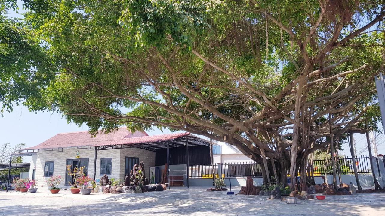 Homestay Thao Nguyen Xanh Lang Van Ke Εξωτερικό φωτογραφία